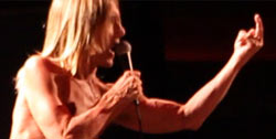 VAN Iggy Pop